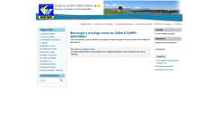 Desktop Screenshot of cashmontseny.com